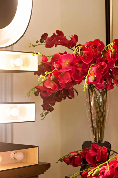 Beautiful red orchid in the interior of the room. — Stock Photo, Image