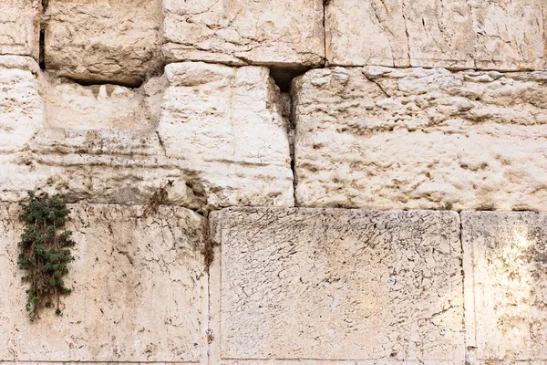 Jerusalem. Wall of Tears. The Western Wall. Notes with requests to God in the Western Western Wall.