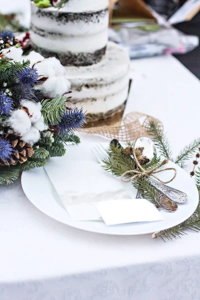 Boda rústica de invierno. Decoración de mesa . —  Fotos de Stock