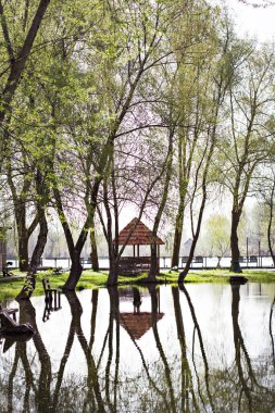 Bir göl ve bir çardağı olan bahar manzarası