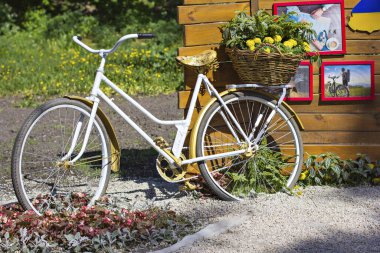 Bisikletle süslenmiş çiçekler. Bahçedeki kompozisyon