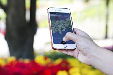 Kız çiçeklerle, lalelerle çiçek tarhının fotoğrafını çeker. Akıllı telefondaki bir çiçek görüntüsü. Bir kız telefonu tutar ve güzel bir fotoğraf çeker..