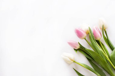 Beyaz arka planda bir buket beyaz ve pembe laleler. Kadınlar Günü, Anneler Günü, 8 Mart