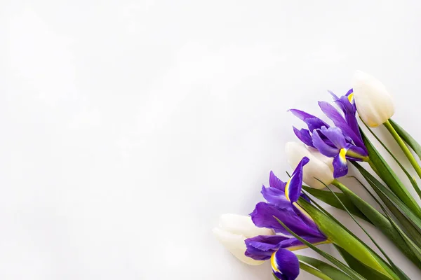 Bouquet Iris Tulipes Blanches Sur Fond Blanc Endroit Pour Texte — Photo