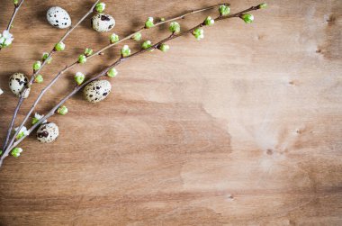 Paskalya sofra bahar çiçekleri ile.