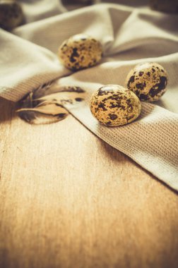 Ahşap masa üzerinde taze organik bıldırcın yumurtası.