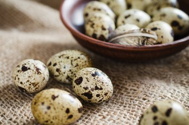 Bir seramik kase taze organik bıldırcın yumurtası.