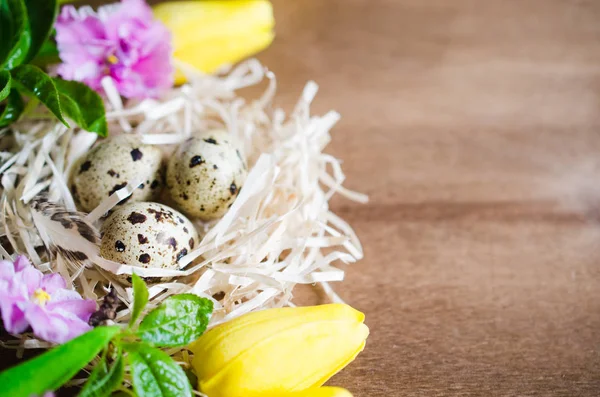 Osterkomposition aus Eiern und Frühlingsblumen. — Stockfoto