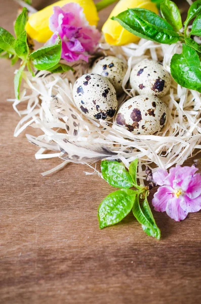 Osterkomposition aus Eiern und Frühlingsblumen. — Stockfoto