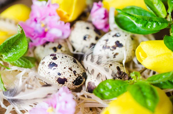 イースター卵と春の花の組成. — ストック写真