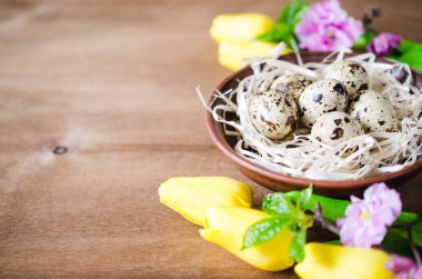 Paskalya yumurta ve bahar çiçekleri bileşimi.