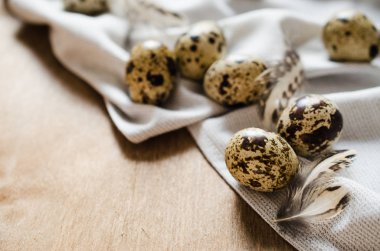 Ahşap masa üzerinde taze organik bıldırcın yumurtası.