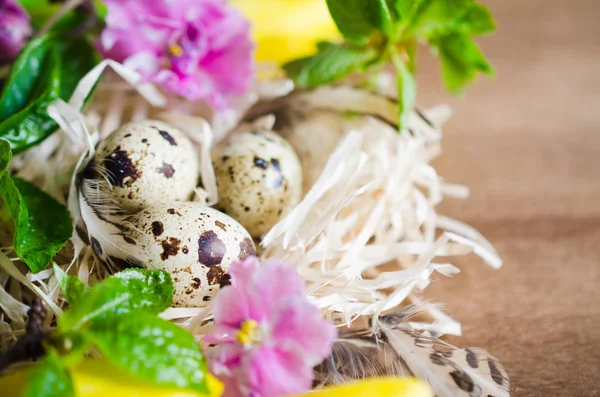 Osterkomposition aus Eiern und Frühlingsblumen. — Stockfoto