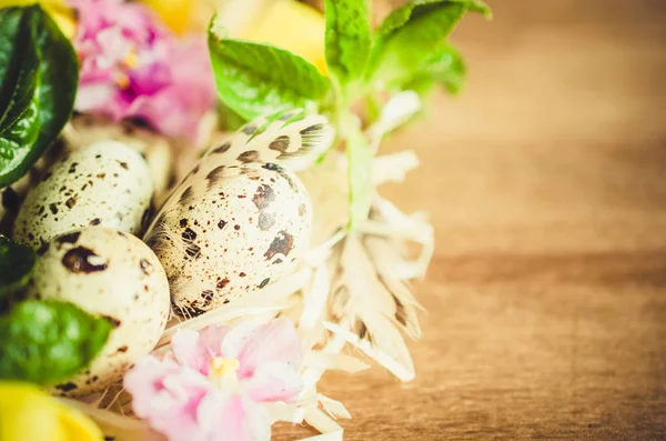 Osterkomposition aus Eiern und Frühlingsblumen. — Stockfoto