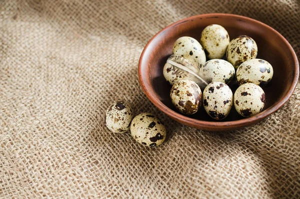 Čerstvé bio Křepelčí vejce v keramické misce. — Stock fotografie