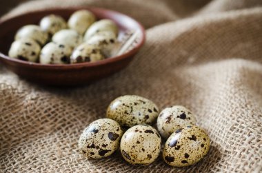 Bir seramik kase taze organik bıldırcın yumurtası.