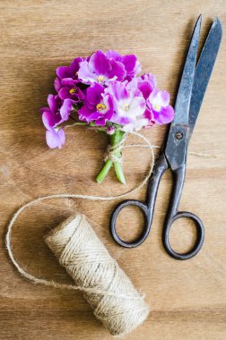 Bitki arka plan. Çiçek, eski makas ve bir ip.