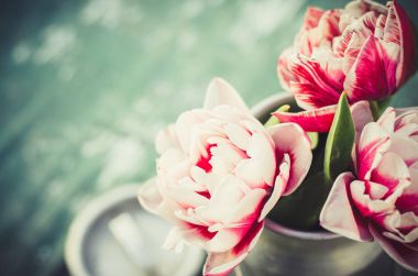 Yazlık yaşam, bir alüminyum Lale buketi olabilir.