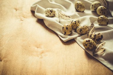 Ahşap masa üzerinde taze organik bıldırcın yumurtası.