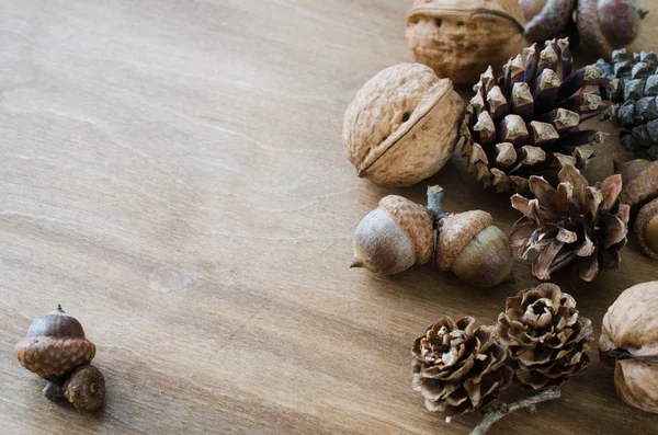 Acorn, walnut and cone on wooden table. — Stock Photo, Image