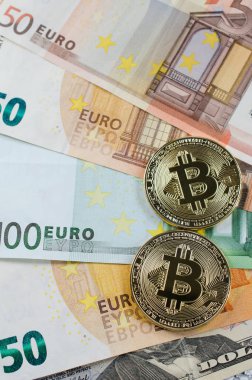 Euro banknot üzerinde iki altın bitcoins.
