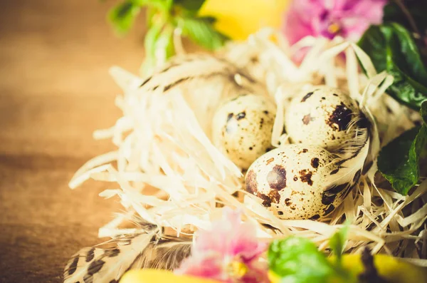 Osterkomposition aus Eiern und Frühlingsblumen. — Stockfoto