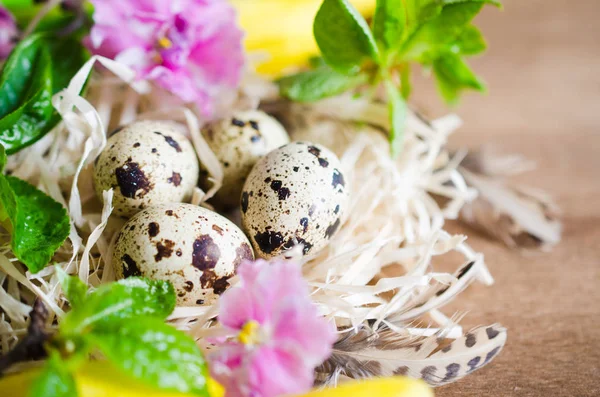 Osterkomposition aus Eiern und Frühlingsblumen. — Stockfoto