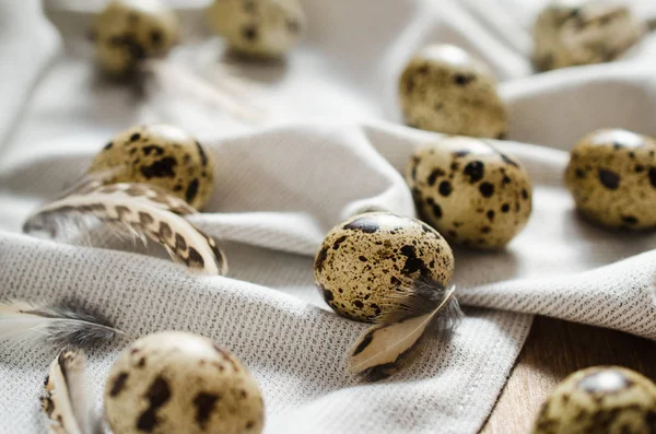 Ovos de codorna orgânicos frescos na mesa de madeira . — Fotografia de Stock