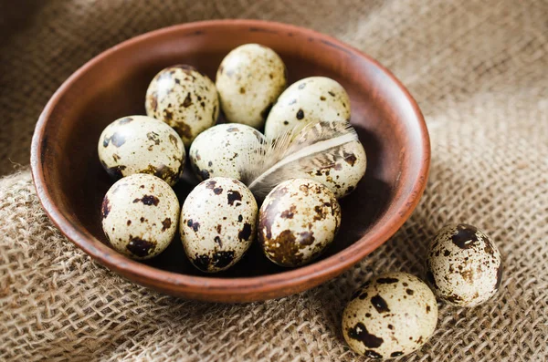 セラミック ボウルで新鮮な有機のウズラの卵. — ストック写真