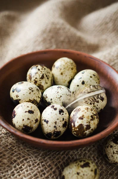 セラミック ボウルで新鮮な有機のウズラの卵. — ストック写真