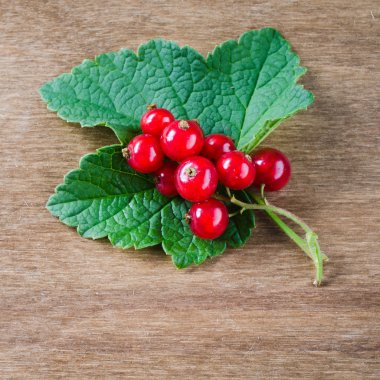 ahşap zemin üzerinde organik kırmızı kuş üzümü.