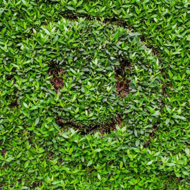 Gülen emojisi. Yeşil yaprakları arka planda bir gülümseme ile emoji.