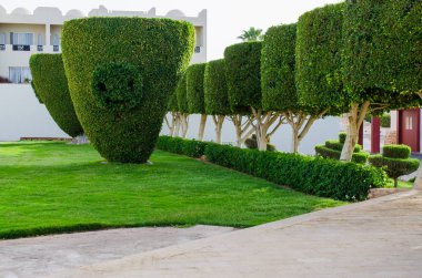 Gülen emojisi. Yeşil yaprakları arka planda bir gülümseme ile emoji.