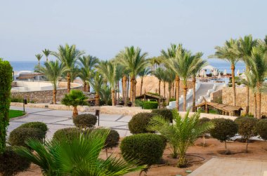 Şarm El-Şeyh ' t e beş yıldızlı otel bakımlı Park toprakları.