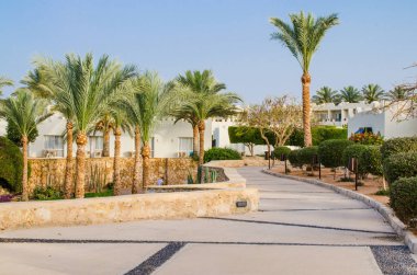 Şarm El-Şeyh ' t e beş yıldızlı otel bakımlı Park toprakları.