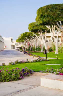 Beş yıldızlı otelin bakımlı park bölgesi. Sharm El Sheikh 'te yaz.