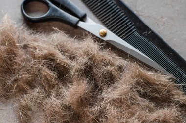 Saç kesimi yığını, saç kesimi ve tarak için makas. Saç kesimi için aletler. Yakın plan.