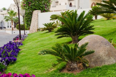 Bakımlı bir bölgeye sahip otel. Beş yıldızlı otel topraklarında yeşil çim ler arasındaki patika. Otel parkı territori de çim ve peyzaj tasarımı güzel çiçekler ile güzel çim.