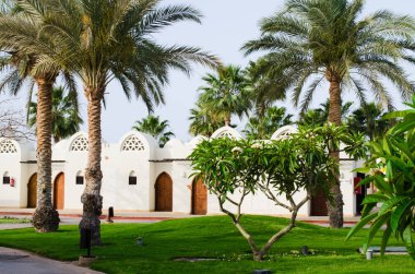 Beyaz evler ve Sharm El Sheikh 'teki beş yıldızlı otelin bakımlı park bölgesi. Mısır 'daki tatil beldesinde palmiye ağaçları olan manzara tasarımı.