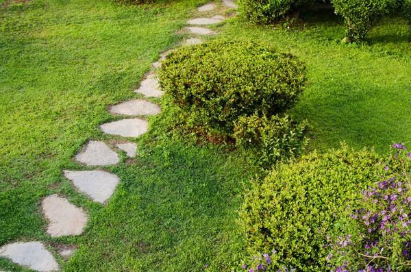 Bahçede yeşil çimlerin arasında taş patika. Taşların arasında ve çevresinde büyüyen otlar. Yaz günü