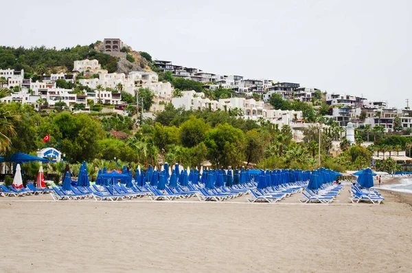 Rows Empty Blue Sun Loungers Umbrellas Beach Windy Summer Day — Stock Photo, Image