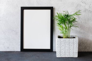 Siyah poster ya da fotoğraf çerçevesi ve beton kapta güzel bir bitki. İskandinav tarzı iç mekan. Boş. Model yap. Boşluğu kopyala.