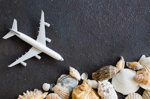 Koncept letního cestování. Dekorativní letadlo a různé mušle na tmavém betonovém pozadí. — Stock fotografie