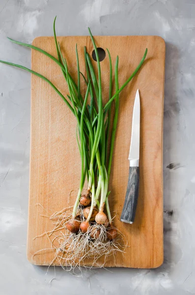 Freshly picked organic spring onions with roots and kitchen knife on wooden cutting board Bunch of spring onions on gray concrete background.