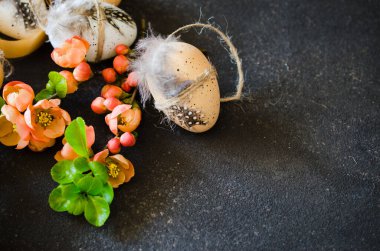 Süslü Paskalya arkaplanı. Süslü paskalya yumurtaları. Tüyleri, kurdelesi ve çiçekli bahar dalıyla. Koyu beton arka planda..