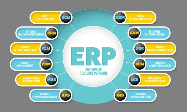 Vektör bilgi grafik tema erp sistemi ile