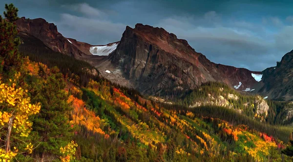 Landscape with mountain slope, overgrown with forest