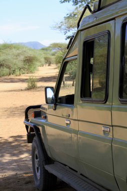 Arabada Afrika savana gölgesi