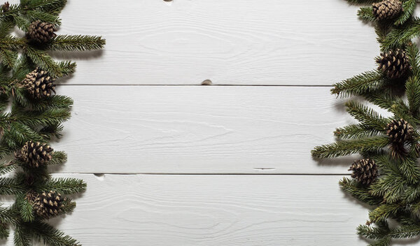 top view of the frame of fir branches on the white boards