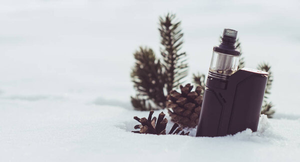 winter vapor with fir branches